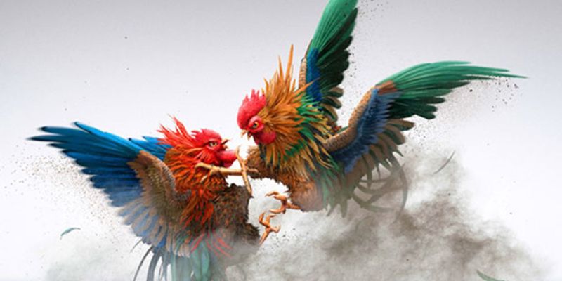 Thế gà đá xạ là gì